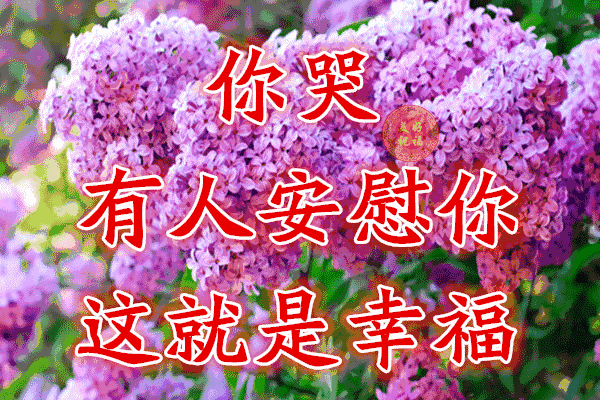 校园留声机■万全人生幸福相册，太漂亮了，保存在手机里，一生幸福如意