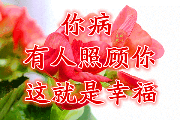 校园留声机■万全人生幸福相册，太漂亮了，保存在手机里，一生幸福如意