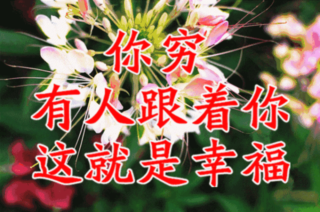 校园留声机■万全人生幸福相册，太漂亮了，保存在手机里，一生幸福如意