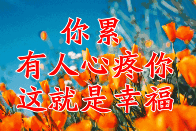 校园留声机■万全人生幸福相册，太漂亮了，保存在手机里，一生幸福如意