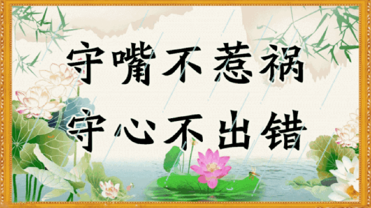 校园留声机■万全人生幸福相册，太漂亮了，保存在手机里，一生幸福如意