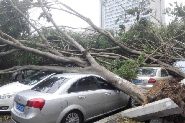 [斯文评车]车损险到底有必要买吗？内行人：还不懂得听好，买错亏的是自己