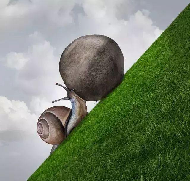 「佳作有约」成功的秘诀就是，坚持！坚持！再坚持