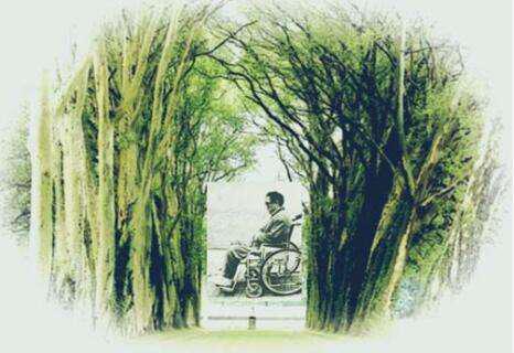 「青漫」对待亲近的人和颜悦色：是爱，是孝！