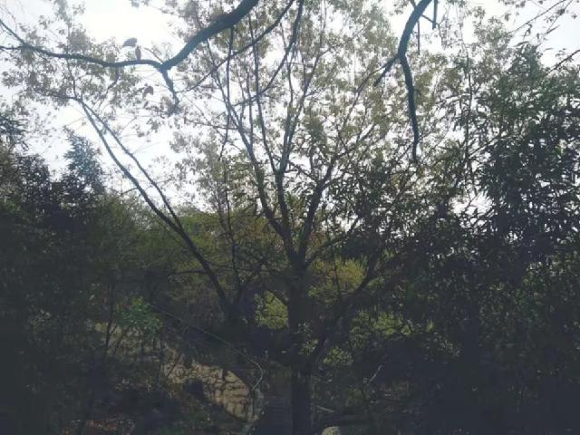 「吐槽姬」那些决定不生孩子的女人，后来怎么样了？