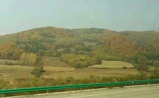 「吐槽姬」那些决定不生孩子的女人，后来怎么样了？