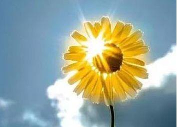 [糖果儿]大爱，总是无声的