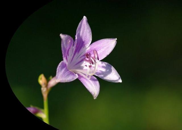 [糖果儿]大爱，总是无声的