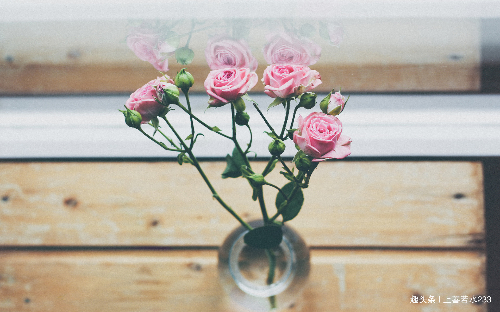 上善若水233■人生之路，你我亦是旅人