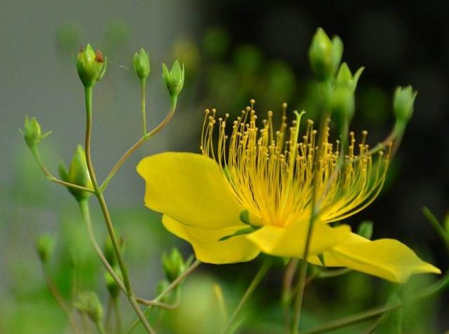 「感悟哲理美文」成熟的人生：不恋过往，不负当下，不畏将来