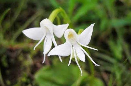 「感悟哲理美文」成熟的人生：不恋过往，不负当下，不畏将来