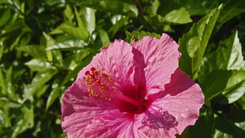 情感平良：最“直男”的三个生肖男，经常和恋人计较，从来不主动认错