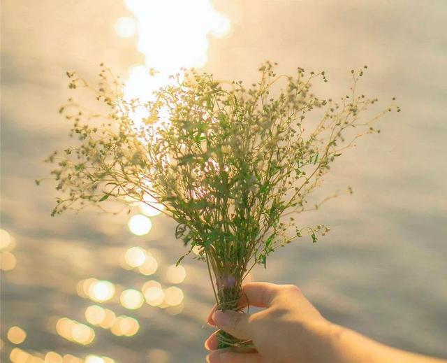 糖果儿■离你最近的3个人，决定了你的人生走向