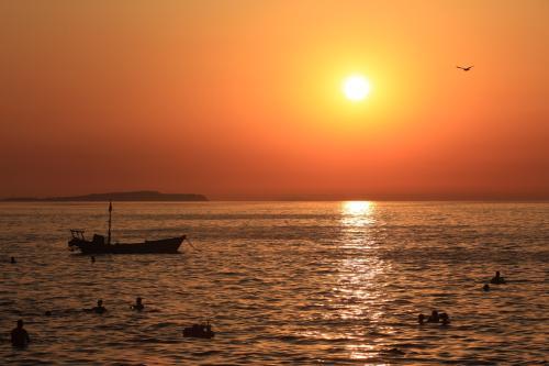 [飞翔的小象]人生最后的时光，就如夕阳