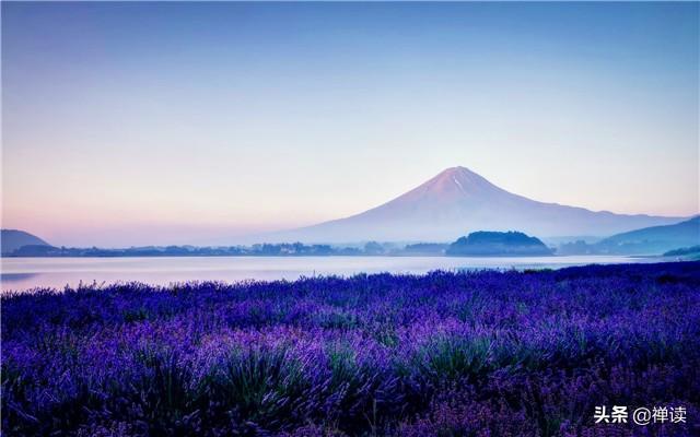 [励志瑾康]无欲当然清闲，心宽可享安乐