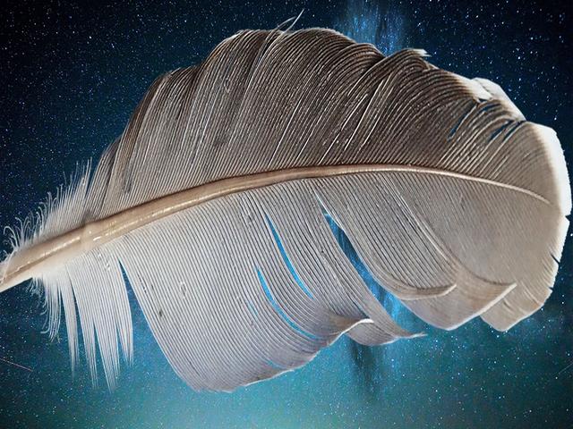 文字金银岛@做好这八个关键，跳出思维定势怪圈