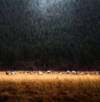 [沙A]励志人生：你付出多少，生活便回赠你多少