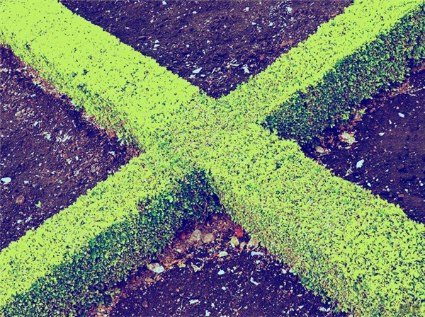 「光明网」凡事不论成败，只要经历；这一生，本就是为了不输给自己而已！