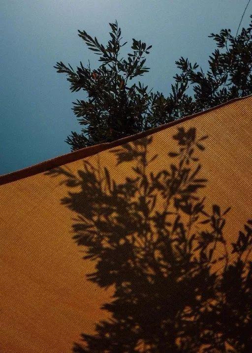 【不二大叔】“总之岁月漫长，然而值得等待”