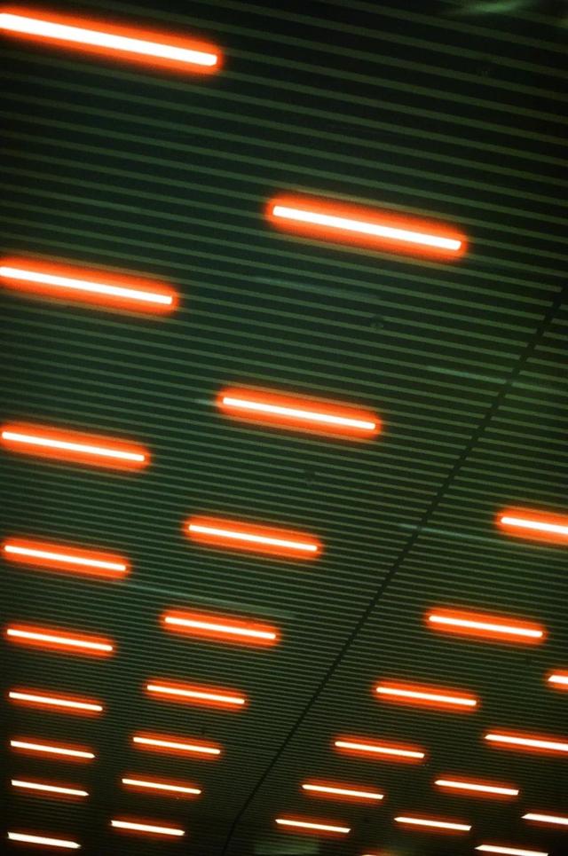 【不二大叔】“总之岁月漫长，然而值得等待”