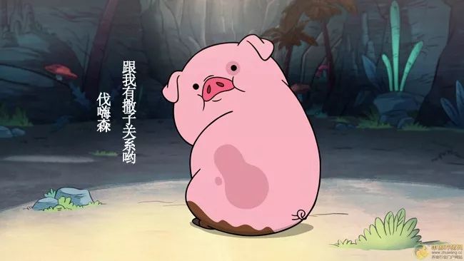 泰尔泰勒：头发多也烦恼？头发少的痛苦，又有谁知道！