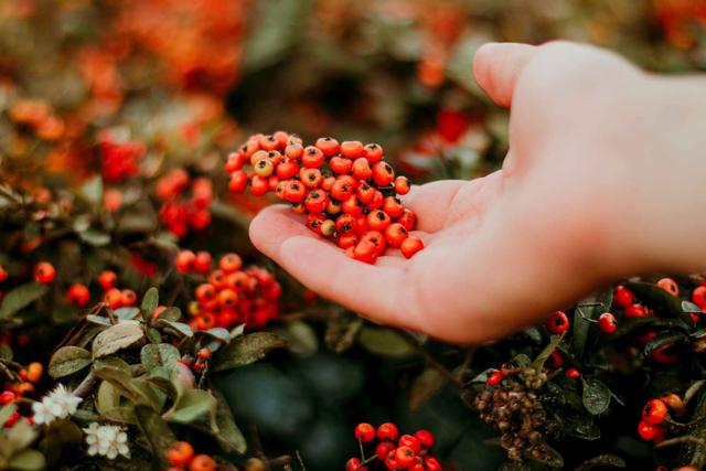 糖果儿■一个家庭的兴旺发达，往往离不开这3个人