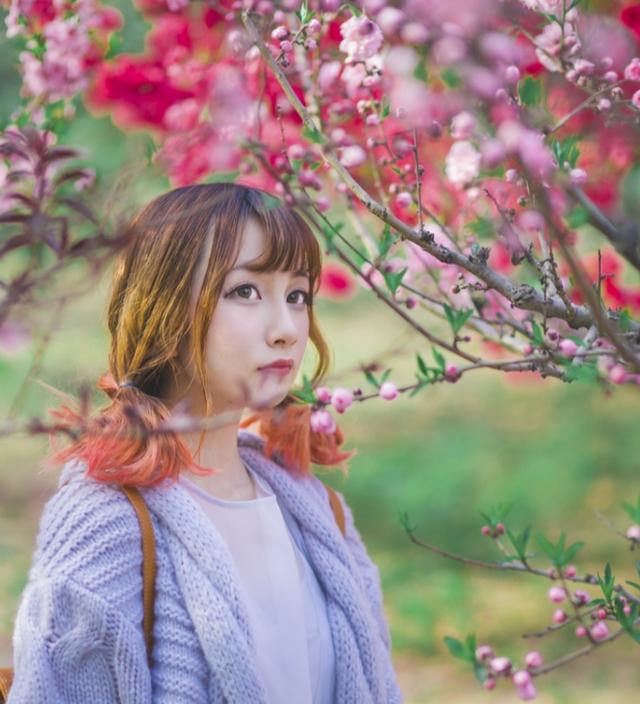 「埘珖」花开花落几轮回，梦里已醉是千年