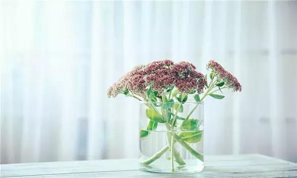 「职场小疯说」做人，善良一点，不要总想着算计人