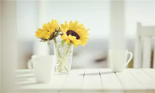 「职场小疯说」做人，善良一点，不要总想着算计人