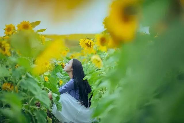 职场是什么@自己开心就好，合不合群没什么关系