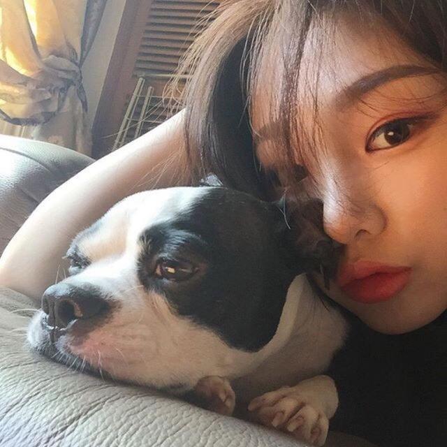 【穿透心灵情感小屋】有点丧，但很治愈很善良的句子！