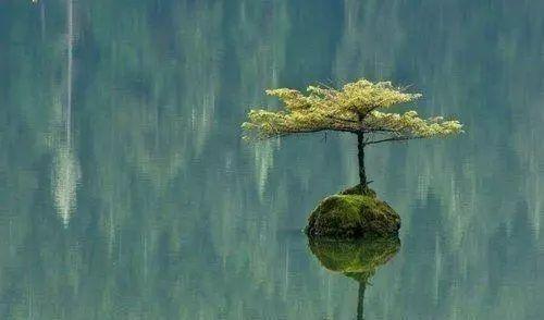 【魔鬼管理学】心烦的时候，最好保持沉默