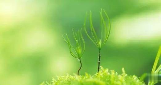 【魔鬼管理学】心烦的时候，最好保持沉默