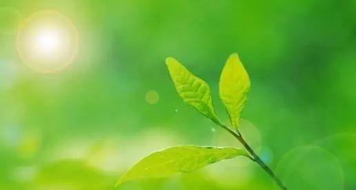 【魔鬼管理学】心烦的时候，最好保持沉默