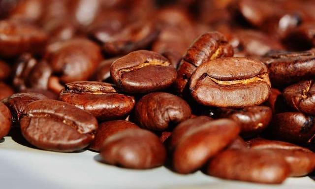 咖啡豆提取物减轻了小鼠细胞的炎症和胰岛素抵抗