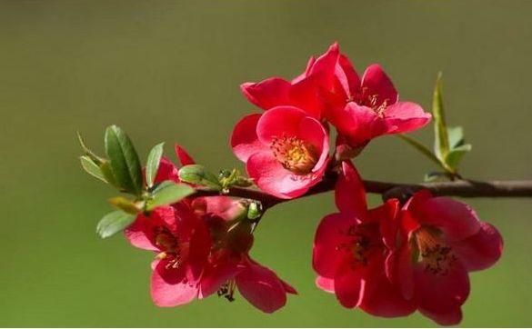 #励志司机贺贺#善良，永不过期；好心，必有好报