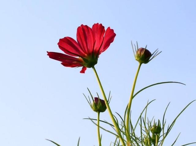 微微米米儿@一生，何求？