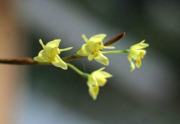 微微米米儿@一生，何求？