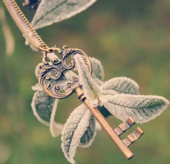 「我们爱教育」如果你能看懂，证明你真的受伤了