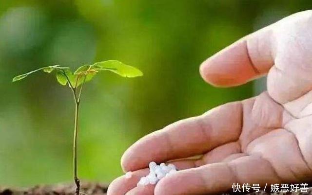 [心理观察家]为什么货车司机要往车里加尿素，到底有什么用？说出来你可能不信