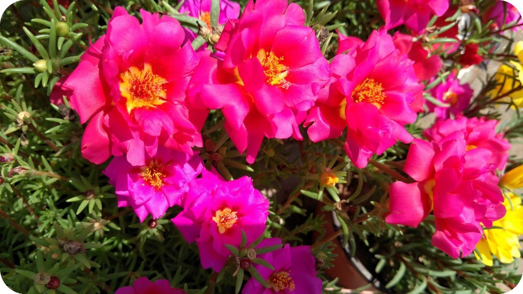 天天励志正能量@学会控制心情，生活才会祥和