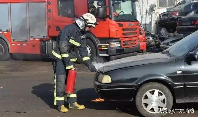 「蛋蛋懂车」三天两起！广东高速汽车变“火车”，都是这个原因！