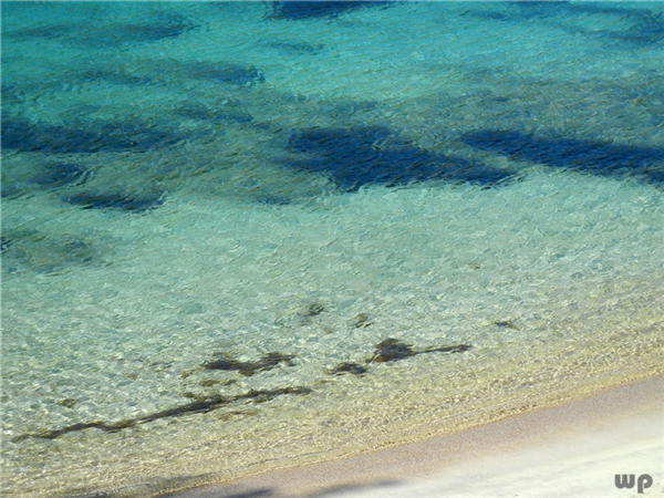 「浅浅情感说」一个人的内心，要像一捧清澈的水