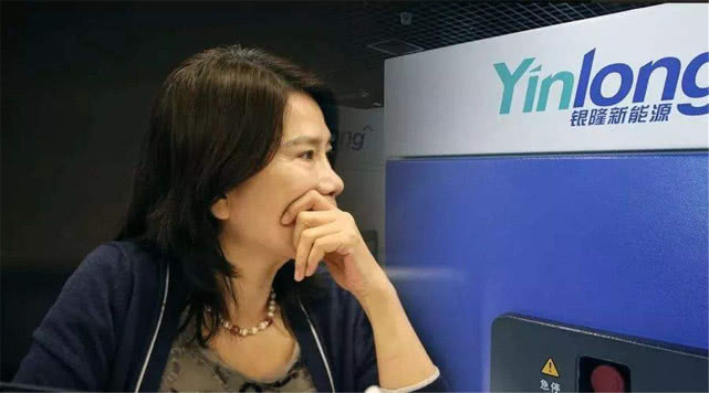 新能源电动车知识@董明珠的汽车已上市，被称“国产埃尔法”，看到价格，你会买吗？