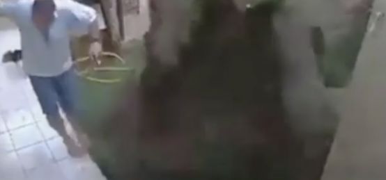 「重庆青年报」巴西男子用汽油烧蟑螂窝 蟑螂问题解决了但是整个草坪都炸毁了