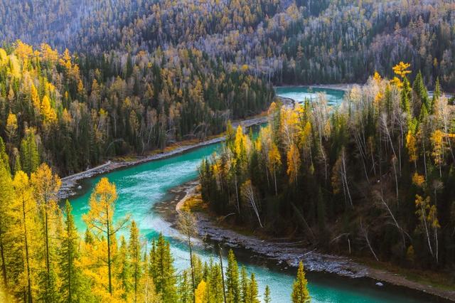 「淡雅悦读」岁月的无情，沧桑了我的伤感