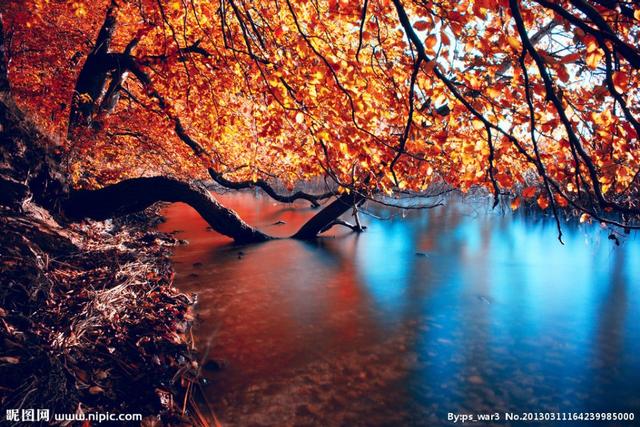 「淡雅悦读」岁月的无情，沧桑了我的伤感