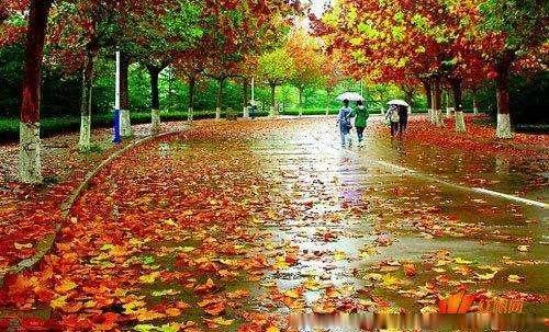 「淡雅悦读」岁月的无情，沧桑了我的伤感