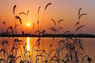 「淡雅悦读」岁月的无情，沧桑了我的伤感