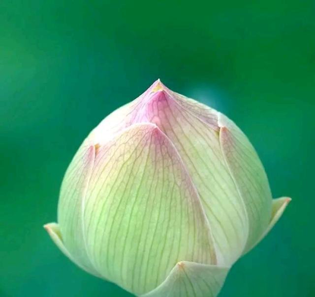 积极虹英：高情商的人，谨慎为明天塑形